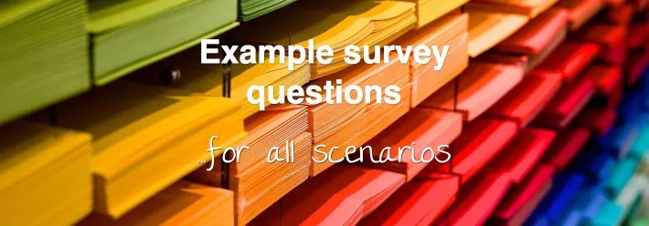 Example survey questions you can ask using Customer Thermometer
