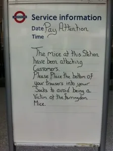 farringdon-mice
