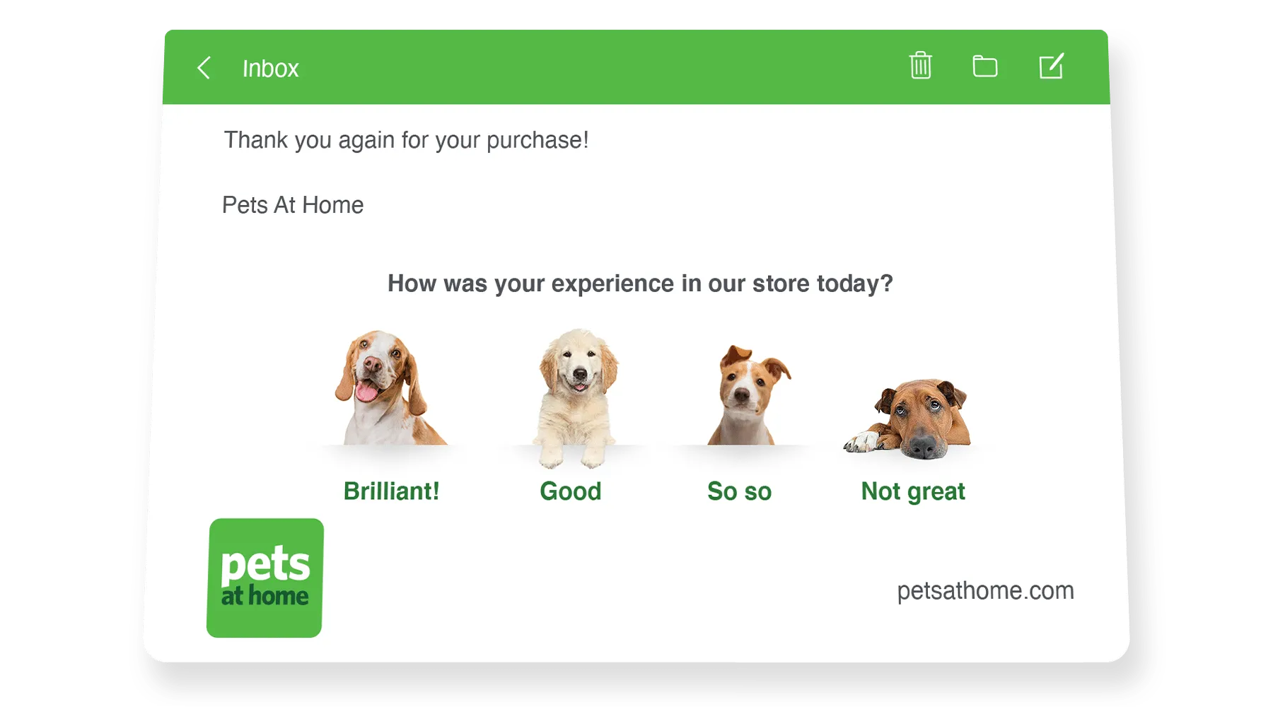 pet-new