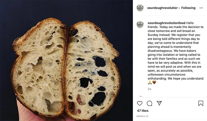 Sourdough Revolution update