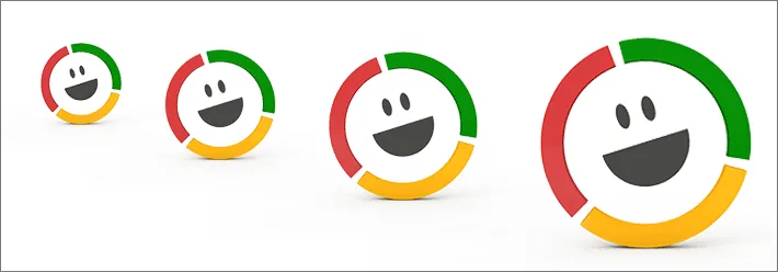 The evolution of the online survey